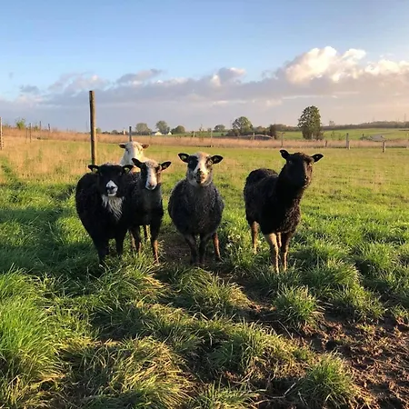 4 Person In Skibby-by Traum Skibby